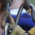 JPEG - 195 kio