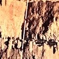 JPEG - 856.1 kio
