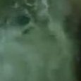 JPEG - 44.9 kio