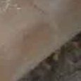 JPEG - 383.2 kio