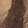 JPEG - 796.7 kio