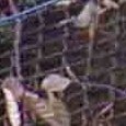 JPEG - 910.6 kio