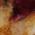 JPEG - 148.6 kio