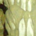 JPEG - 118.8 kio