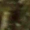 JPEG - 357.2 kio