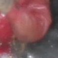 JPEG - 40.3 kio