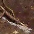 JPEG - 765.8 kio