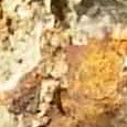 JPEG - 749.2 kio
