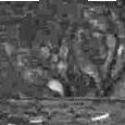 JPEG - 354.7 kio