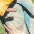 JPEG - 516.8 kio