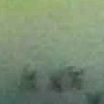 JPEG - 370.9 kio