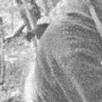 JPEG - 304.9 kio