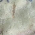 JPEG - 374.6 kio