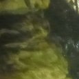 JPEG - 257.2 kio