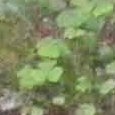 JPEG - 641.3 kio