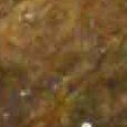 JPEG - 336.1 kio