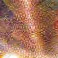 JPEG - 210.8 kio