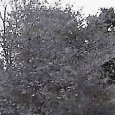 JPEG - 145.1 kio