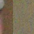 JPEG - 740.1 kio