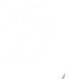 JPEG - 300.6 kio