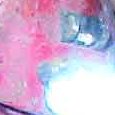 JPEG - 435.3 kio