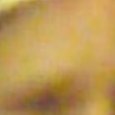 JPEG - 40.3 kio