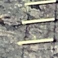 JPEG - 799.7 kio