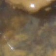 JPEG - 32.6 kio