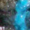 JPEG - 458.7 kio