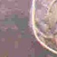 JPEG - 285.7 kio