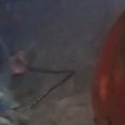 JPEG - 315.5 kio