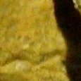 JPEG - 172.7 kio