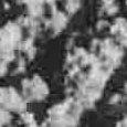 JPEG - 435.9 kio