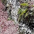 JPEG - 502.3 kio