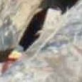 JPEG - 496.3 kio