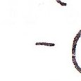 JPEG - 715.7 kio