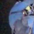 JPEG - 70.5 kio