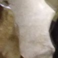 JPEG - 498.8 kio