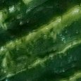 JPEG - 393.3 kio