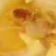 JPEG - 551.5 kio
