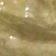 JPEG - 599 kio