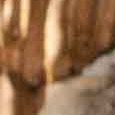 JPEG - 570.2 kio