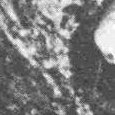 JPEG - 317.3 kio