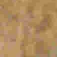 JPEG - 2.5 Mio