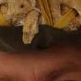 JPEG - 53.4 kio