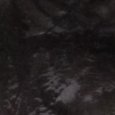 JPEG - 255 kio