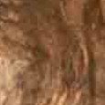 JPEG - 588.4 kio