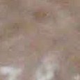 JPEG - 299.7 kio