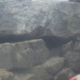 JPEG - 163.6 kio
