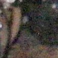 JPEG - 568.8 kio